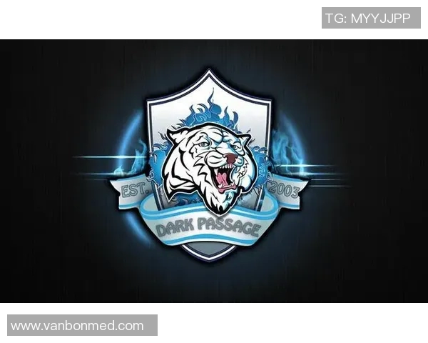 英雄联盟战术解析:深入探讨WE战队的区域防守策略与执行 英雄联盟战术解析:深入探讨WE战队的区域防守策略与执行