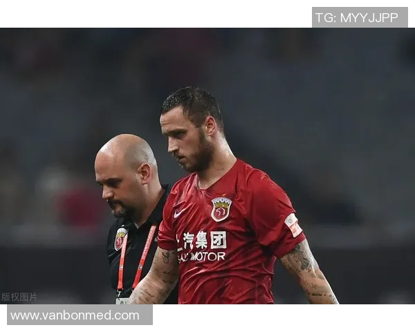 捷克与尼日利亚激战正酣赛果揭晓引发球迷热议