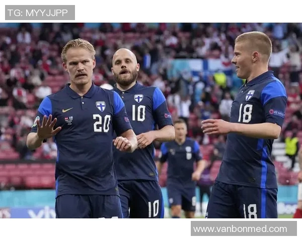 芬兰对阵爱尔兰精彩视频直播全程回放与赛后分析 芬兰对阵爱尔兰精彩视频直播全程回放与赛后分析