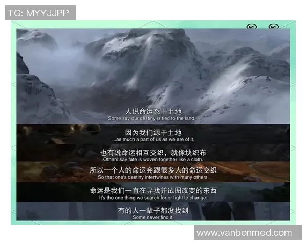 自由与神秘人预测的较量探讨未来选择与命运的交织