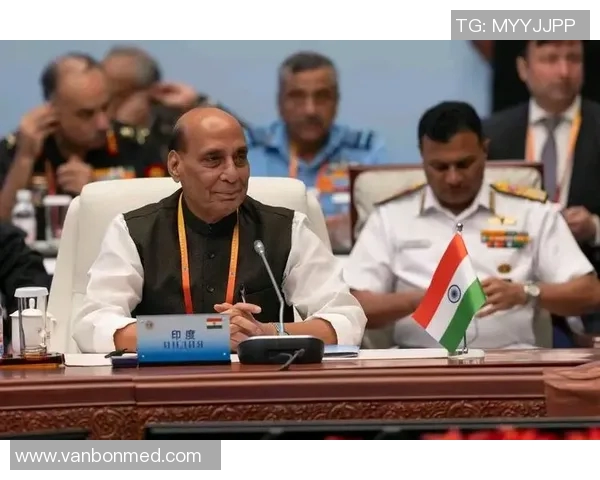 金砖国家峰会中中国与印度的战略博弈与合作前景分析