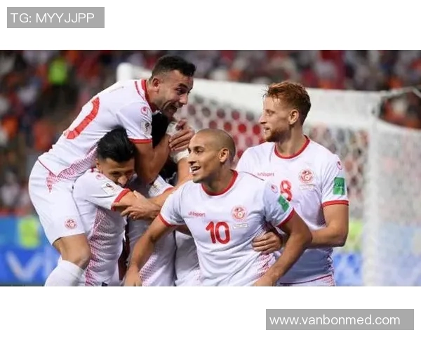 非洲杯精彩对决马里与突尼斯争夺晋级资格的激烈战斗 非洲杯精彩对决马里与突尼斯争夺晋级资格的激烈战斗