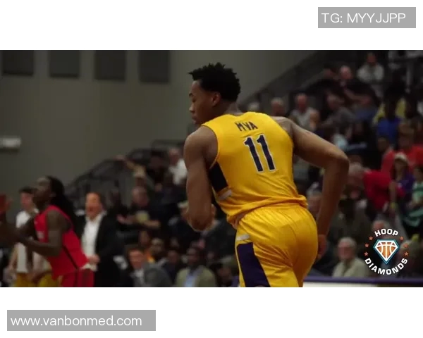 斯科蒂巴恩斯：年轻天才如何在NBA赛场上崭露头角与成长之路