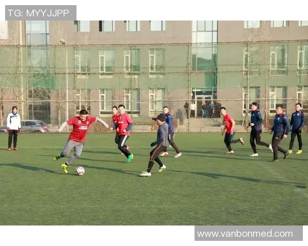 广州篮球队配合表现的数据分析与战术优化研究MBA