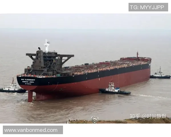 赖斯的外交智慧与全球影响力分析及其对未来国际关系的启示