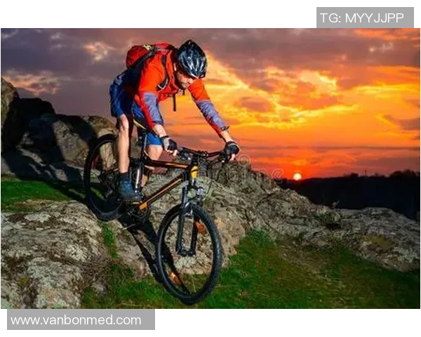 极限运动战术解析上海极限运动队的防守与进攻体系探讨MBA