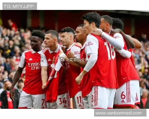 丹麦与巴拿马足球预测分析揭秘两队实力对决与战术布局