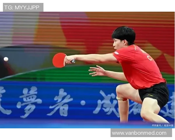 从零基础到乒乓球高手的全面技术提升指南与实战技巧分享 从零基础到乒乓球高手的全面技术提升指南与实战技巧分享