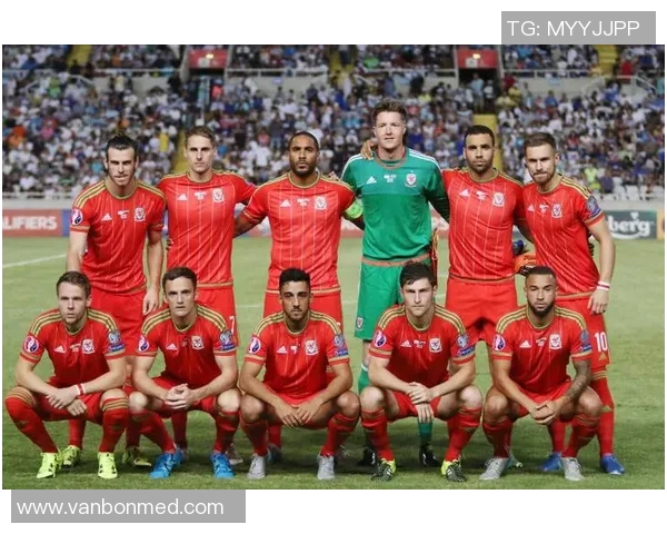 斯洛伐克对阵威尔士精彩直播时间及观看方式全攻略