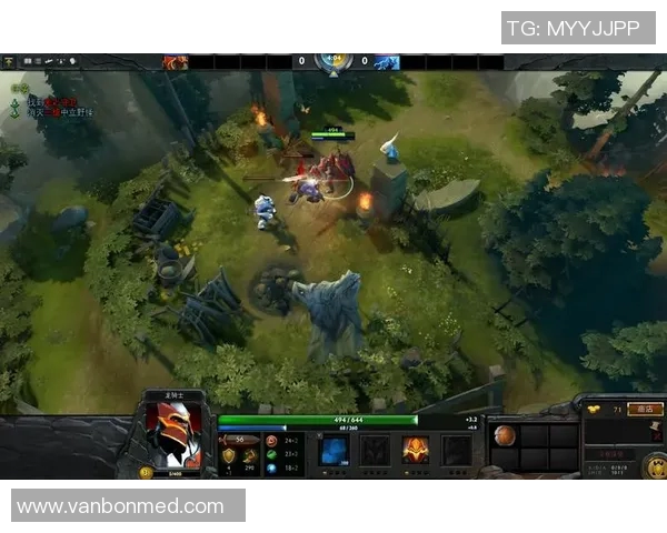 DOTA2新手必看：耐力系统全面解析与实用技巧分享