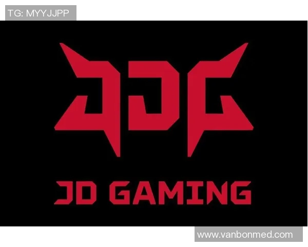 JDG战队的荣耀与挑战：DOTA2赛场上的奋斗历程全记录